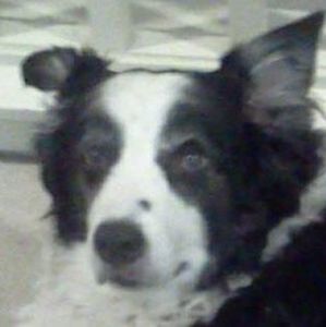 Meet your Posher, Janelle